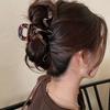 Acrylic Wave Hair Clip Designed Stylish and Sophisticated Headwear Hairpins Shark Ponytail Hair Accessories for Women