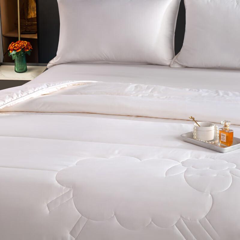 Yalu Double Protein Cashmere Soybean Warm Quilt