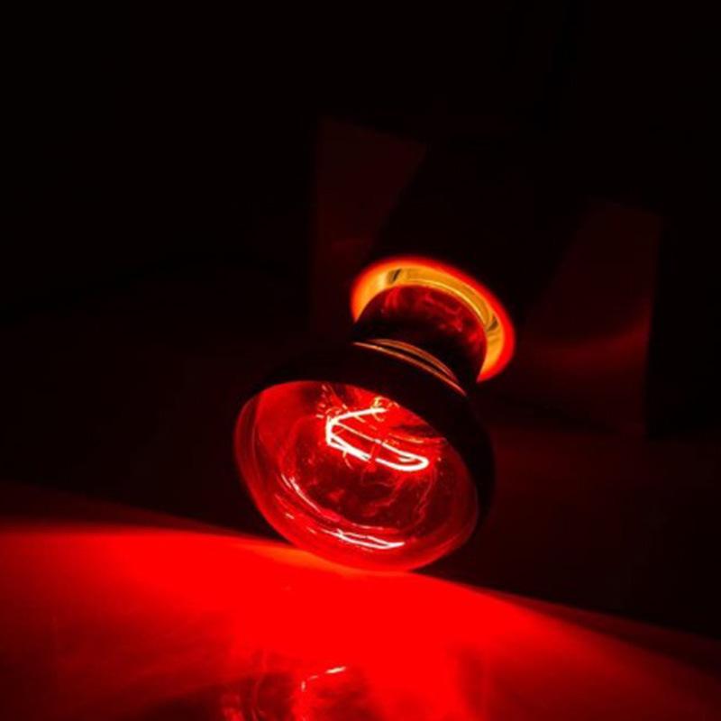 Infrared Neodymium Heating Bulb: 30W/40W/60W/100W/150W, Black, R63/R80/R95