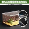 SESHIS Reptile Cage Box, Acrylic, Transparent, 20x15x10cm, Single Item