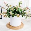Self Watering Pots for Indoor Plants Small Plastic Planter Modern Wicking Flower Pot with Wick Rope And Reservoir for Violets Ocean