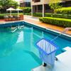 Rede de limpeza de folhas de piscina com haste Rede de limpeza de folhas de piscina Skimmers de malha fina para limpeza de piscinas Lagoas Fontes Banheiras