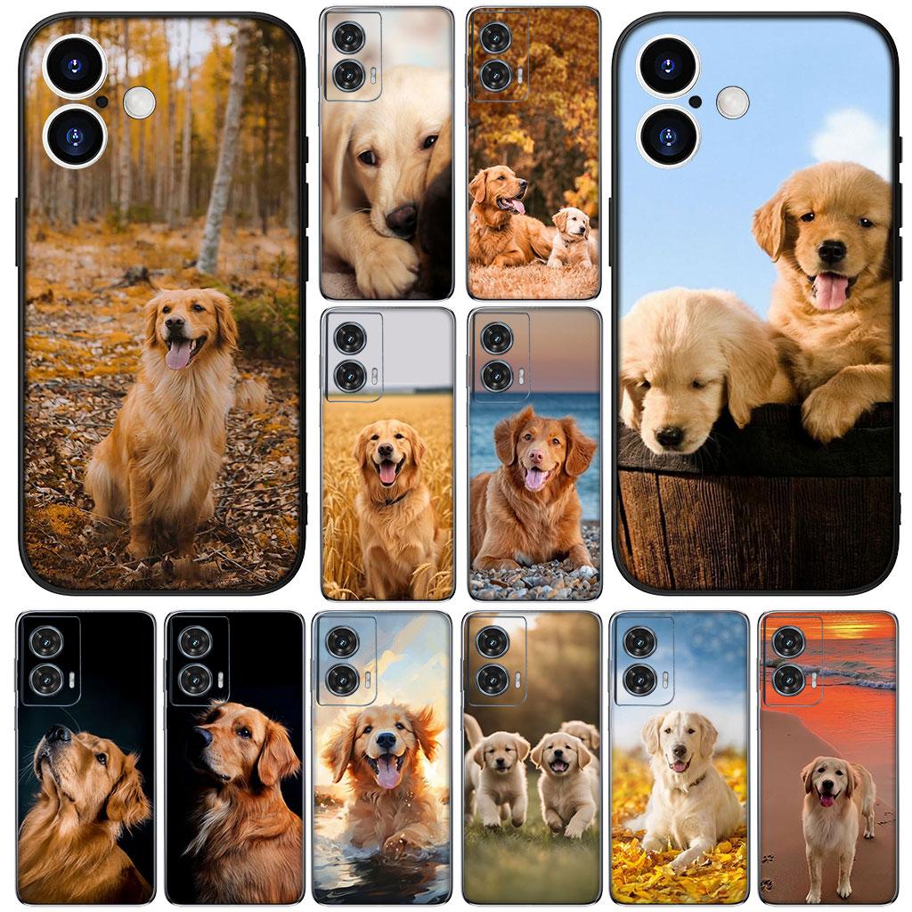 Cover for Huawei Mate 20 P30 P20 Lite Pro Y7 Y6P Y7A 2019 Nova 5T 3I Casing Phone Case Golden Retriever Dog
