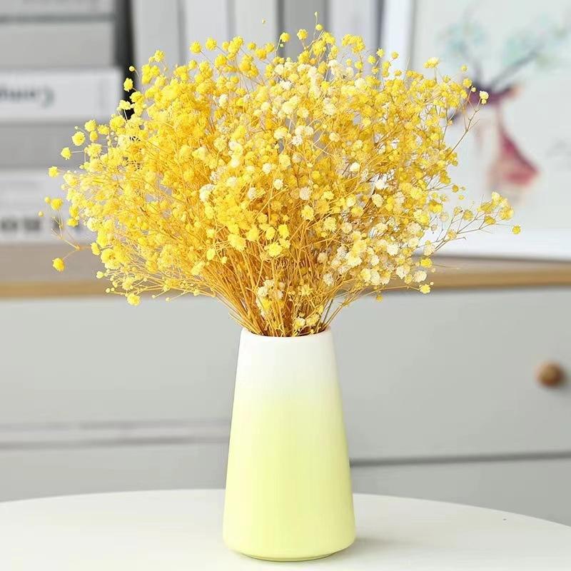 Vaso creativo alla moda e minimalista
