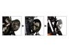 MOTOR ROCK 69 Bates Light Black MR-LIT005B