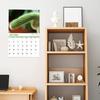 Funny 2026 Wall Calendar Jan. 2026 - Dec. 2026 12 Monthly Planner White Elephant Gag Gifts for Home Office Decoration