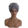 Synthetic Short Afro Curly Wig Old Grey Hair for Black Women Daily Cosplay Halloween Party Use Fluffy and Elastic Hairstyle