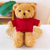 Custom Logo Teddy Bear Plush Toy - Cute Little Bear in Clothes for Gifts & Events