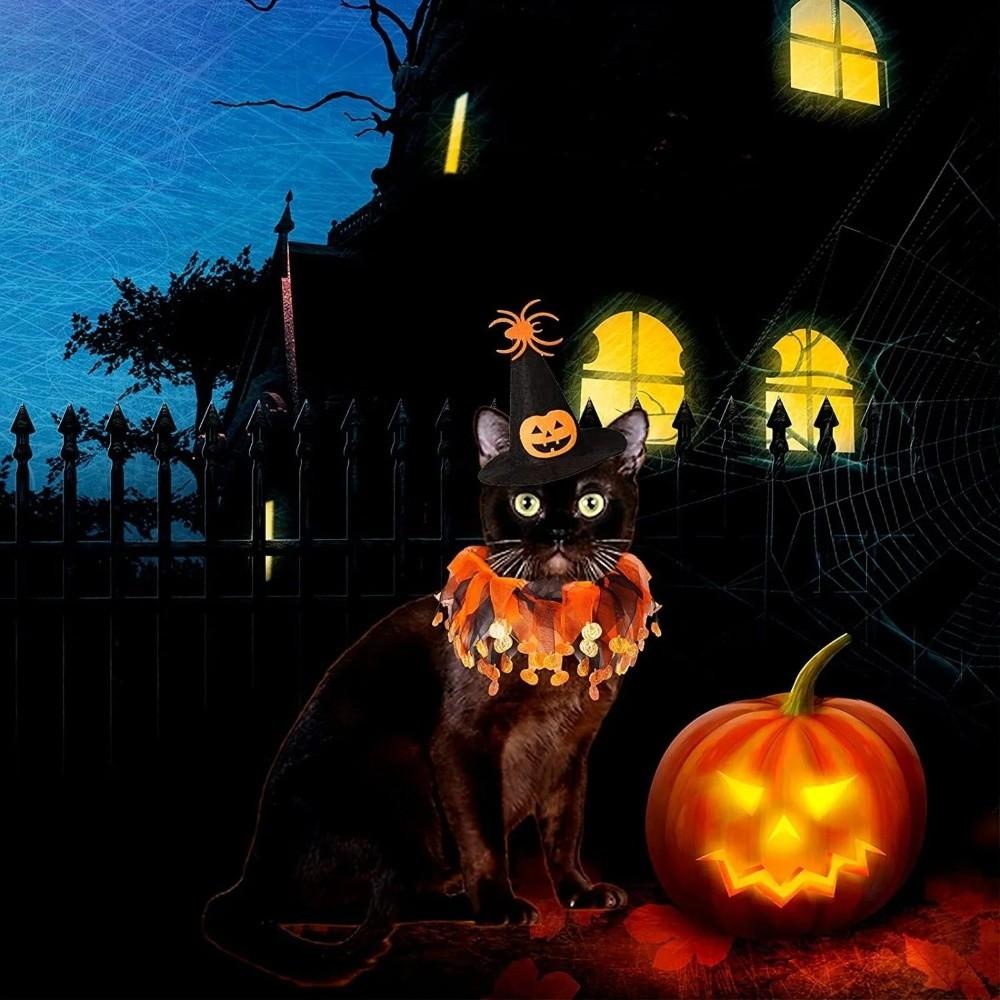Spider Cat Collar Hat Set Pumpkin Pet Halloween Supplies Fuuny Halloween Cat Costume  Small Dog