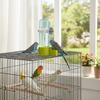 Bird Water Feeder For Parrot Budgie Cockatiel Lovebird Universal Pet Drinking Bottle With Leak Proof Design And Easy Install