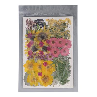 100 Pcs Dried Pressed Flower 13 Types Natural Dry Flowers with 2 Stickers for Scrapbooking Candle