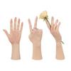 KUMIHO Hand Silicone Female Drawing Painting Hand Torso with Jewelry Natural Slender Left Wide Rail Model, Hand, Hand, Ultra-Realistic Hand,