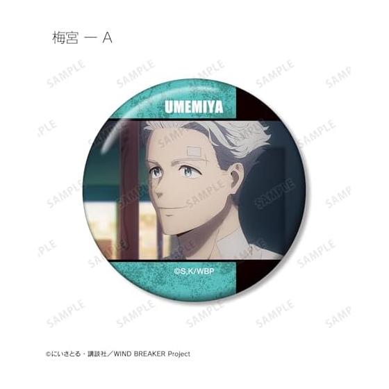 TV Anime "WIND BREAKER" Umemiya Hajime Scene Photo Can Badge Set of 2