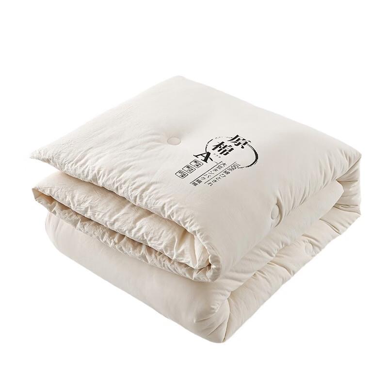Premium Cotton Soy Fiber Winter Quilt