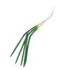 Plant Simulation Vegetable PU Imitation Scallions Model Artificial Green Onion  Photography