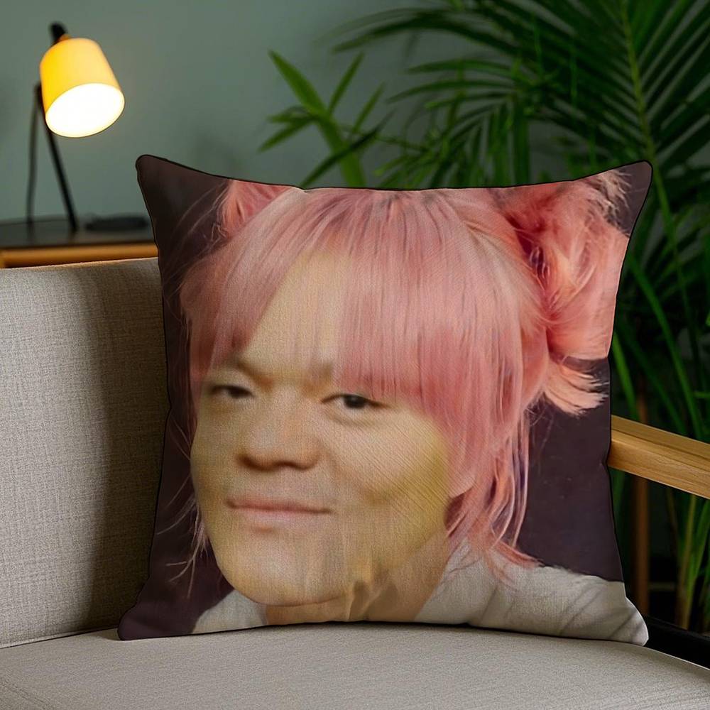 Funny J-JYP Meme Pillow Case Office Sofa Dorm Chair Back Short Plush Double-sided Printing Home Cushion Cover