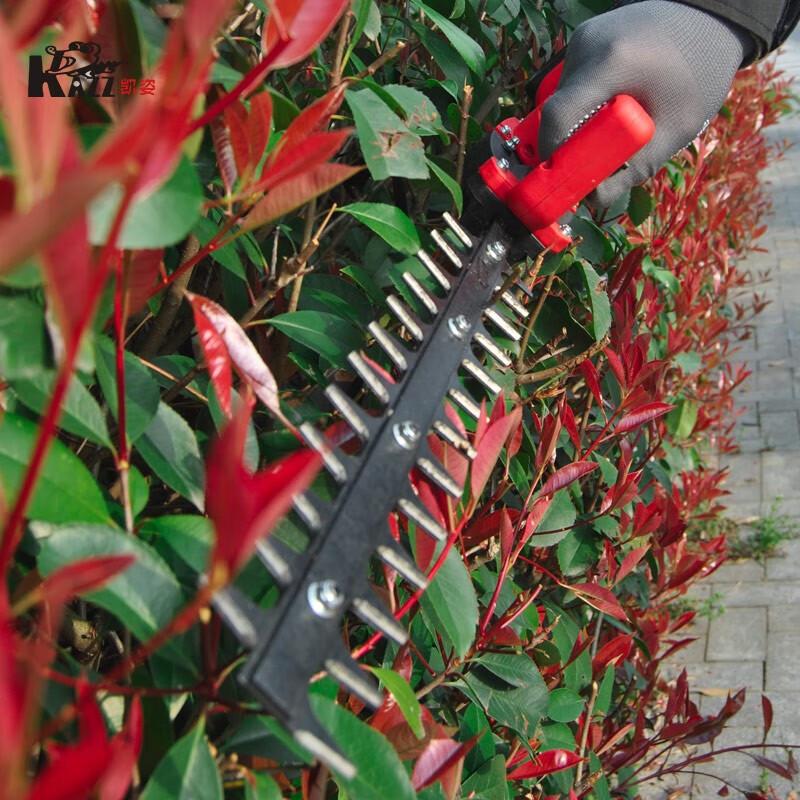 KAZZ KZ327C 21V Brushless Cordless Tea Harvester CN plug (adapter included)