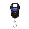 50Kg 10g Hanging Scale, LCD Digital Scale, BackLight, Fishing Weights, Pocket Scale, Luggage Scales