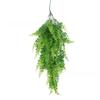 Pteridium Latiusculum Plant For Wedding And Outdoor Decorate Events