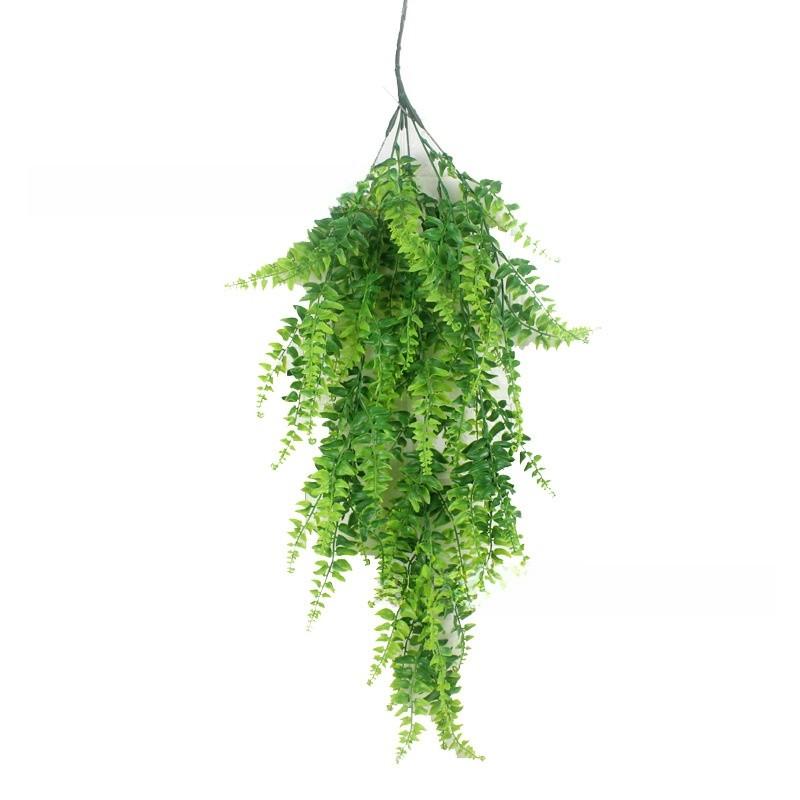 Pteridium Latiusculum Plant For Wedding And Outdoor Decorate Events