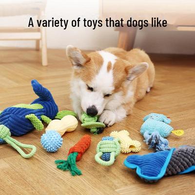 Hunde – Hundespielzeug