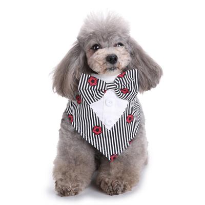 Abbigliamento e scarpe – Accessori per cani