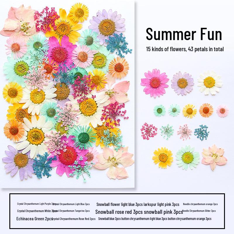 Handmade Resin Pressed Flower Bookmark DIY Kit: Transparent Specimen Stickers & Dried Flowers for Students