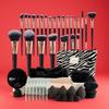 47-Piece Makeup Tool Set: Brushes, Sponge, Puff, Large Capacity Bag