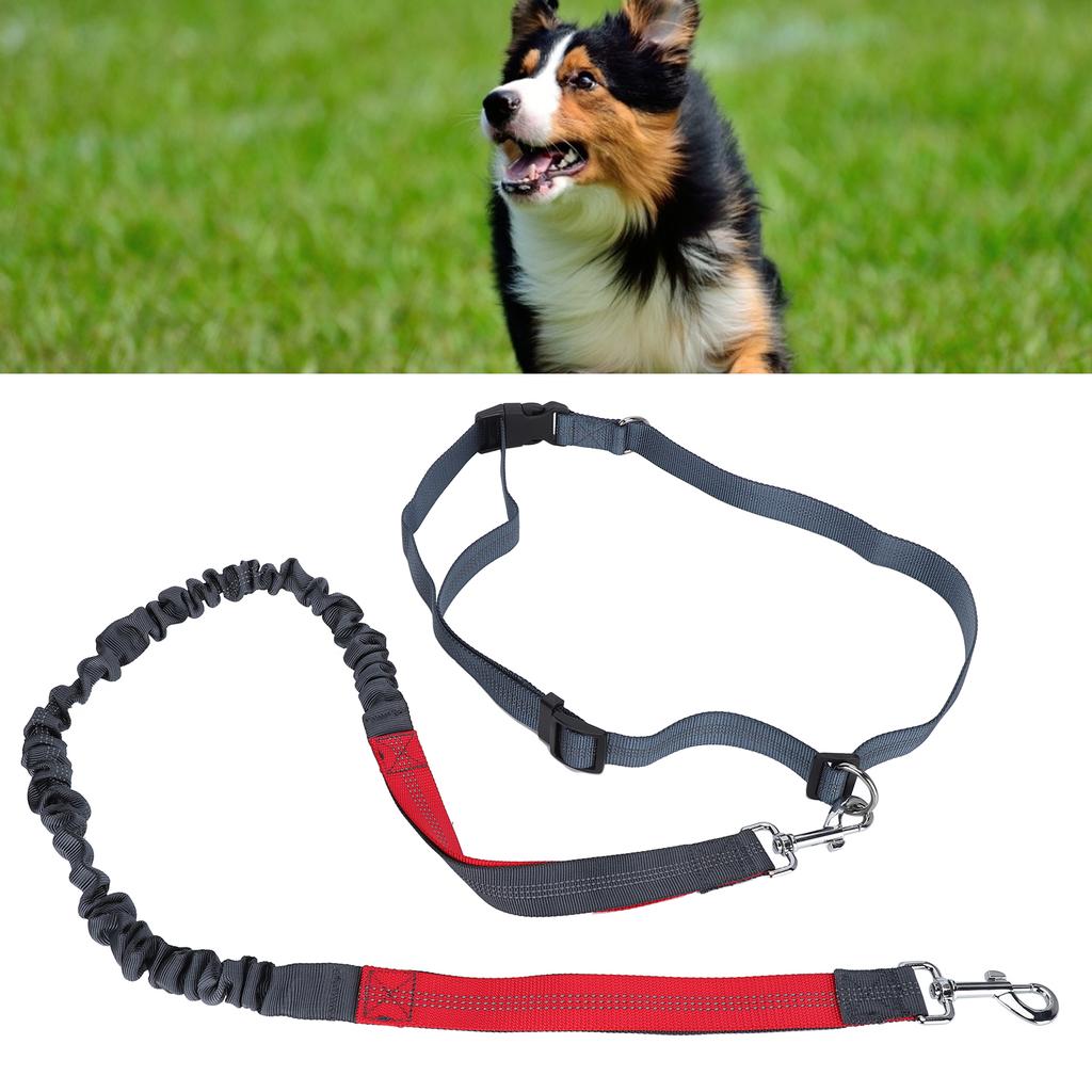 Haustier Hund Nylon Zugseil Reflektierend Bruchfest Outdoor Verstellbar Sicherheitsgurt