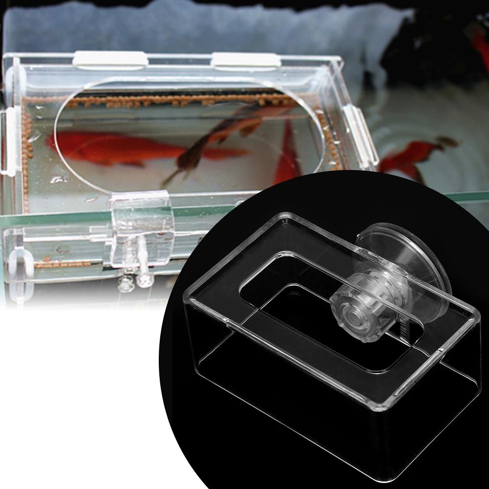 Acrylic Simple Installation Fish Food Feeder Feeding Ring for Fish Tank Aquarium with Suction Cup Less Than Br More