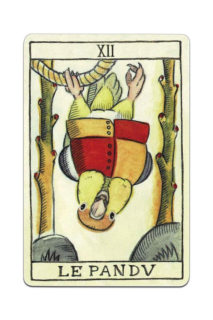 Nichiyu original tarot cards 78 sheets Marseille version fortune telling Marseille Tarot BIRD TAROT DE MARSEILLE by birds drawn by creator NORISAN