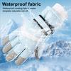 Winter Ski Gloves for Men Women Waterproof Windproof Touch Screen Snow Gloves Outdoor Thermal Gloves for Snowboard