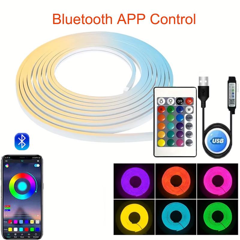 USB RGB Neon Light Strip with APP &Remote Color Change Waterproof Music Sync Mode Flexible Neon Lights for Room Outdoors Decor