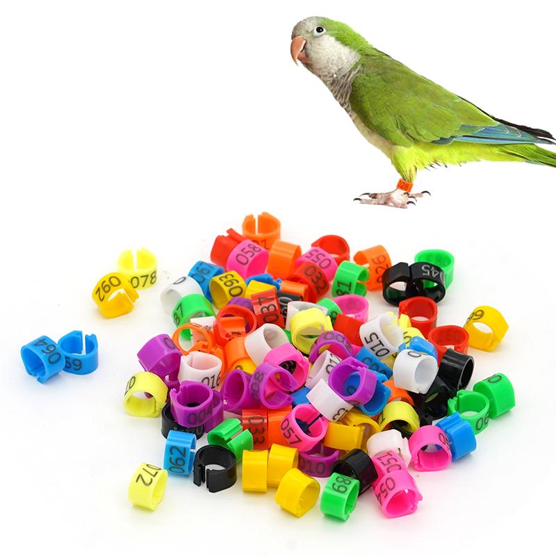 100 Piezas Nuevos Anillos para Patas de Paloma Identificar Bandas para Palomas 8 mm Clip de Plástico para Loro Anillo Digital para Pie Suministro para Entrenamiento de Palomas Aparatos para Pájaros