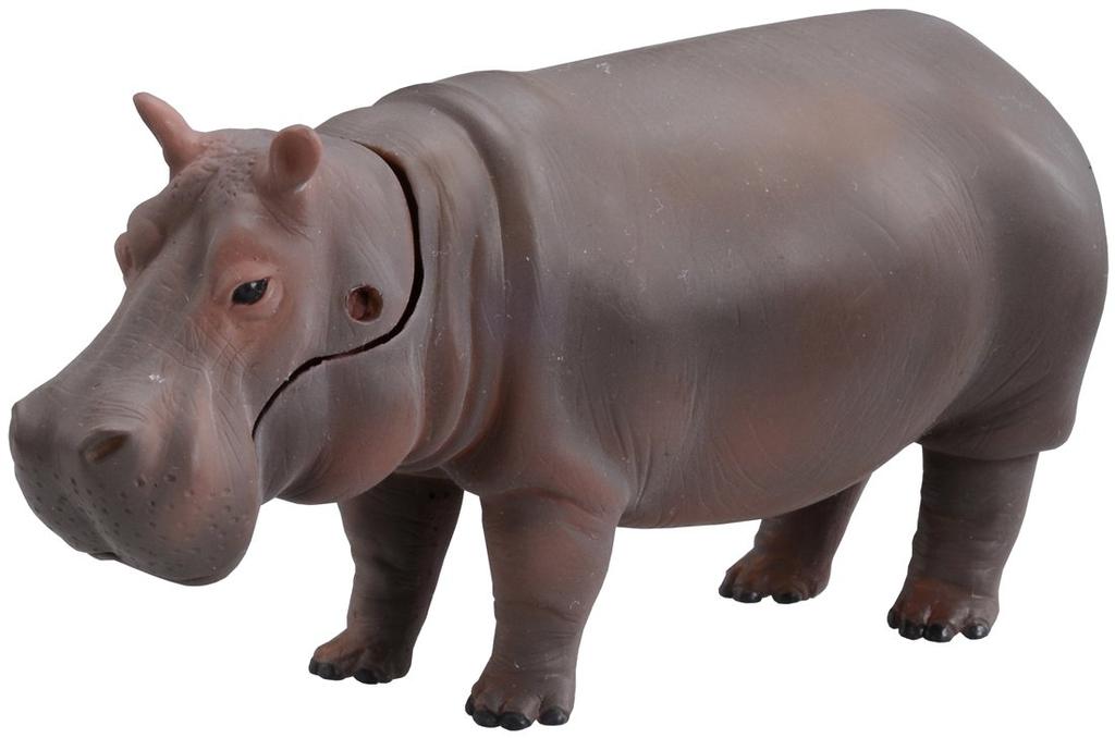 Takara Tomy Animal Dinosaur Realistic Moving Figure Toy for Ages 3 and Meets Toy Safety ST Mark Certified "Ania AS-06 Hippopotamus" Up, Standards,