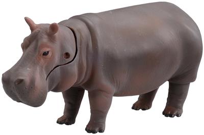 Takara Tomy Animal Dinosaur Realistic Moving Figure Toy for Ages 3 and Meets Toy Safety ST Mark Certified "Ania AS-06 Hippopotamus" Up, Standards,
