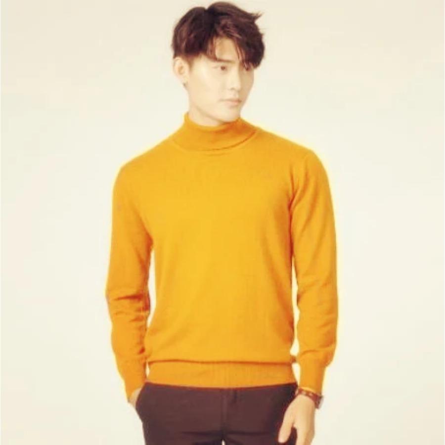 Turtleneck Men Cashmere Cotton Blend Pullover Jumper 2024 Autumn Winter Vetement Homme Ropa Hombre Pull Homme Hiver Sweater