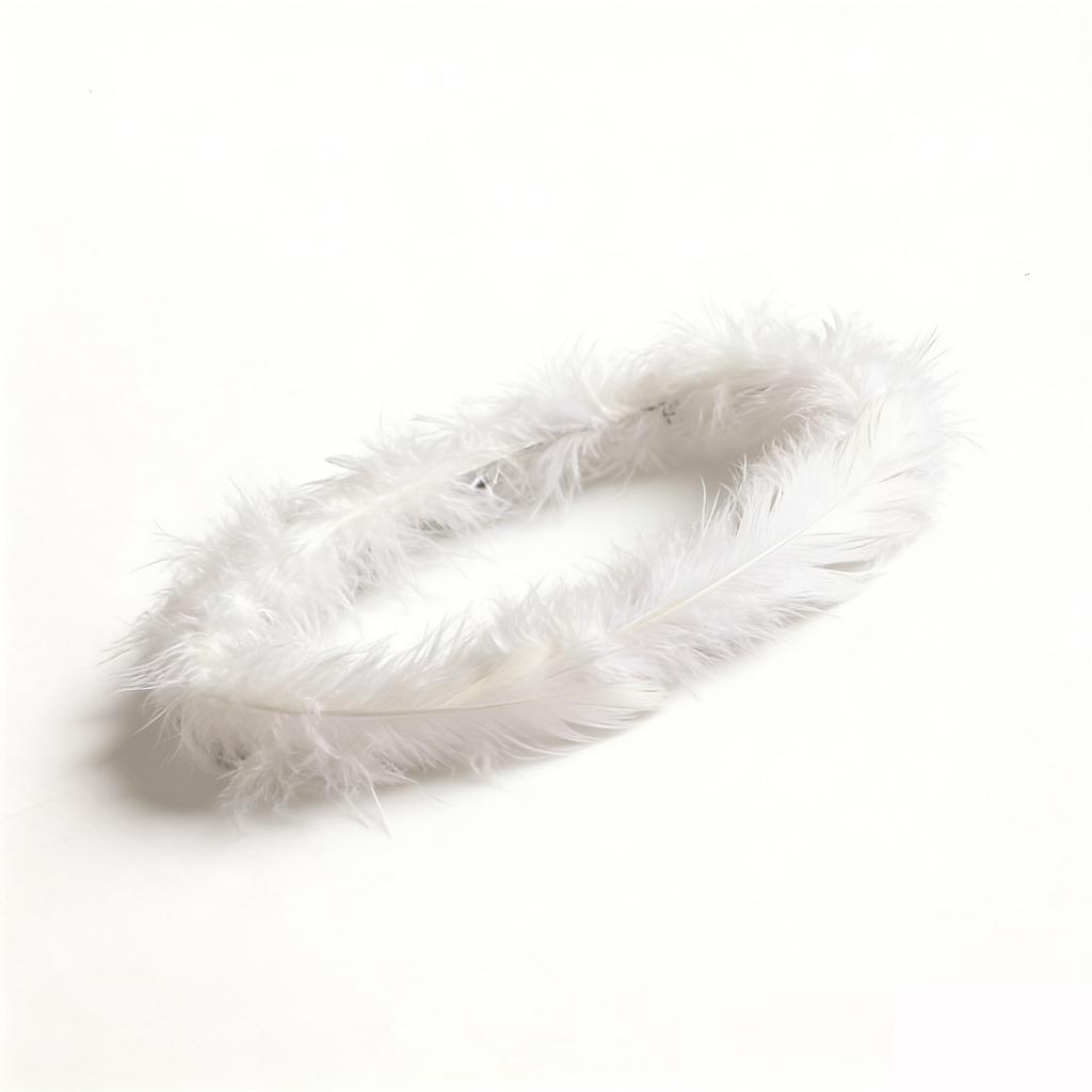 Elegantes Engelsflügel & Tiara Set Bequeme weiße gefiederte Flügel Foto-Requisiten für 0-6 Monate Geburtstags-Fotografie-Zubehör