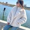 New Imitation Mink Fleece Fur Jacket Autumn and Winter Thickened Fur Integrated European Mink Fleece Short Lapel Jacket