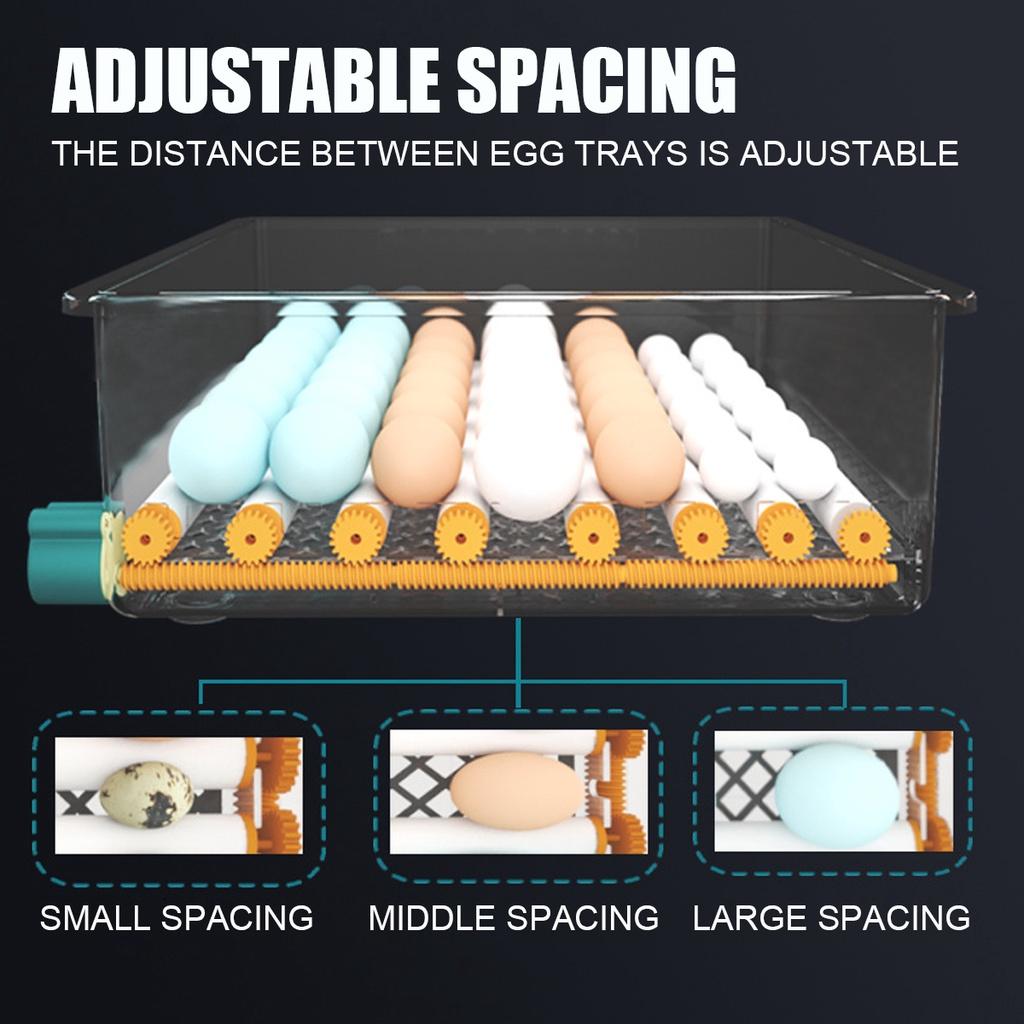 30W/35W 12/16/36 Egg Incubator Brooder Bird Quail Chick Hatchery Incubator Poultry Hatcher Turner Digital Automatic Farm Incubation Tool