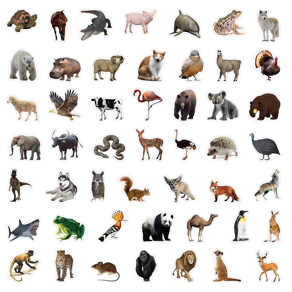 10/25/50 Stück Gemischte Wildtiere Dschungel Tiere Aufkleber Graffiti für Jungen Mädchen DIY Spielzeug Scrapbooking Wasserflasche Handy Kühlschrank