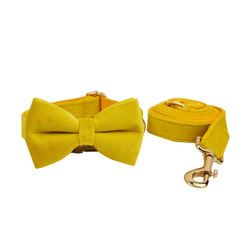 Pet collar, dog leash, dog collar, yellow velvet.