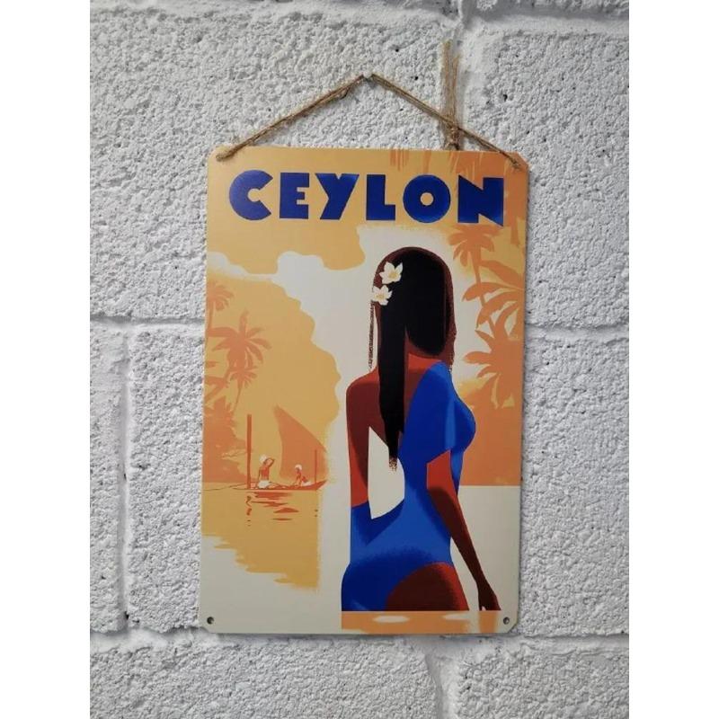 Thailand On a Scooter Tourism Metal Poster, Vintage Travel Wall Art Decor