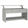 Vidaxl Couchtisch, Beton Grau, 102X50X52,5 Cm