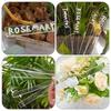 10PCS Quality Acrylic Plant Label Gardening Decoration Transparent Herb Sign Eco-Friendly DIY Plant Tag Garden
