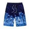 Men's Swim Trunks Quick Dry Beach Surfing Running Swimming Drawstring Shorts