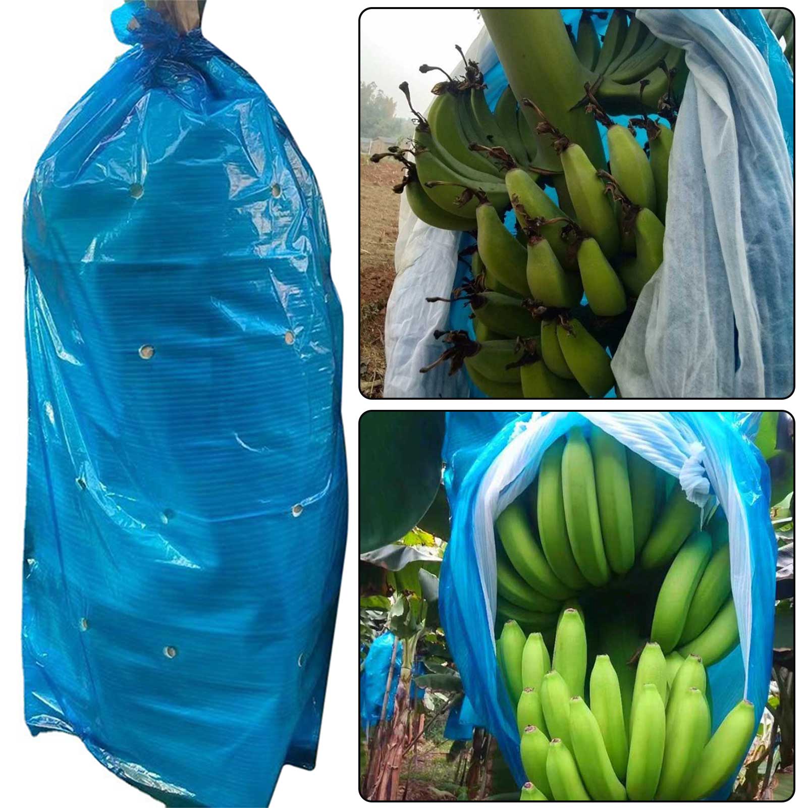 

Banana-Fruit-Bunch Ripening Cover Heavy Duty Fruit Protector Bag For Winter China Mainland