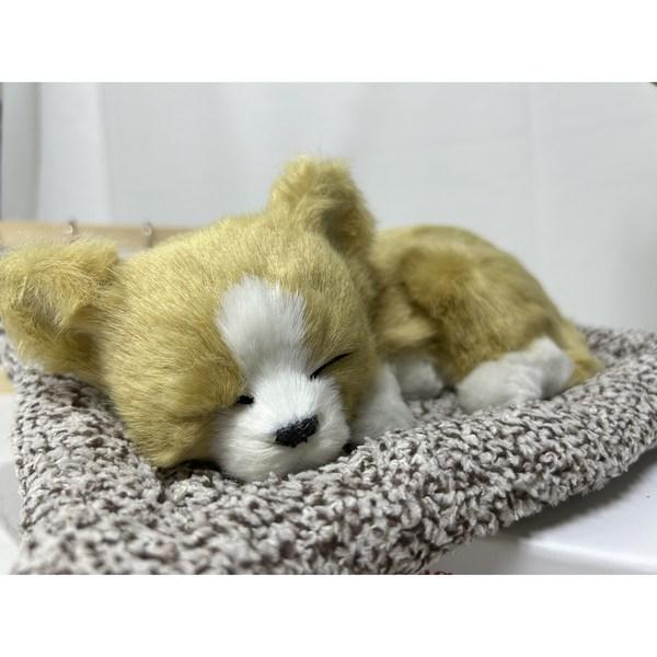 Wonpungrong deodorizační produkt na dřevěné uhlí, vycpané zvíře, čivava, 1 kus, korejské auto podle