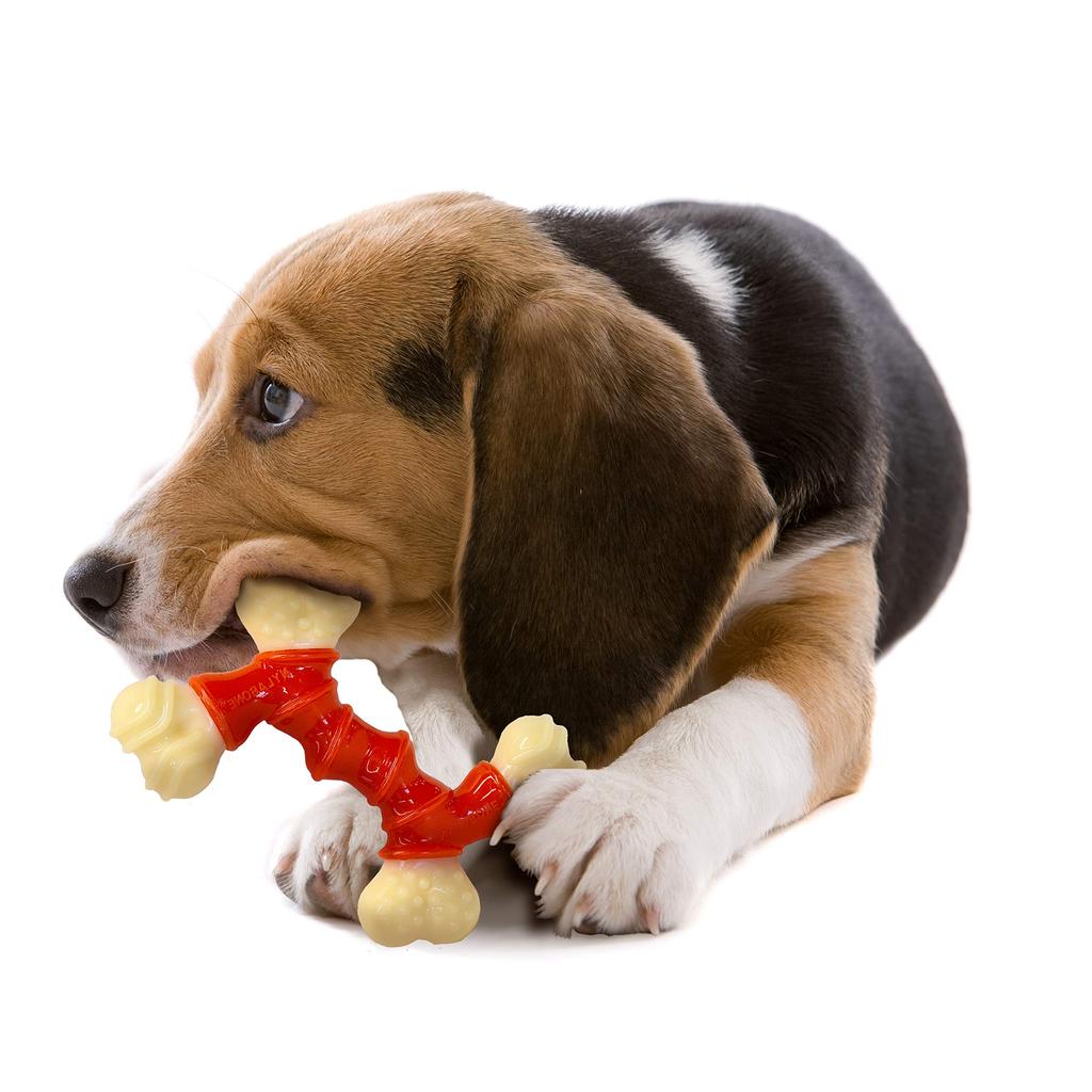 Nylabone Bend Bone [Used]