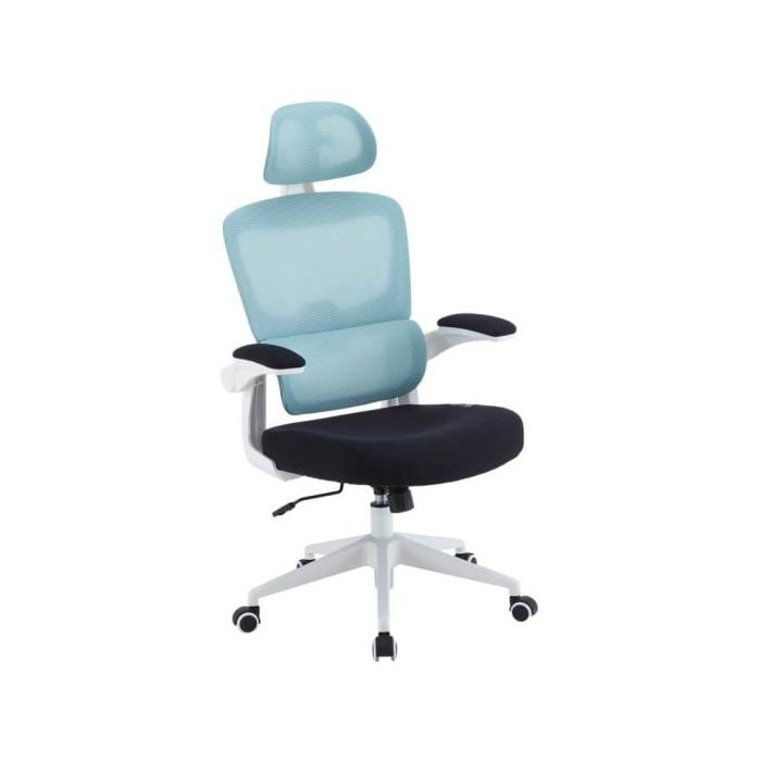 Chaise de Bureau - WOXTER - Ergo - Ergonomique - Bleu - Contemporain